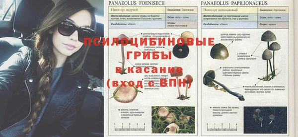 герыч Новодвинск
