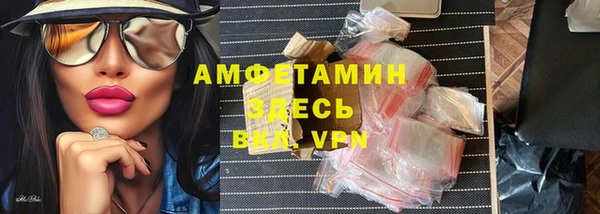 сатива Ростов