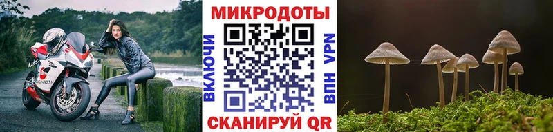 mega ТОР  Ардон  Галлюциногенные грибы GOLDEN TEACHER 